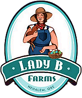 LadyB Eggs